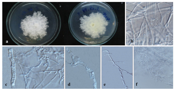 Figure 10