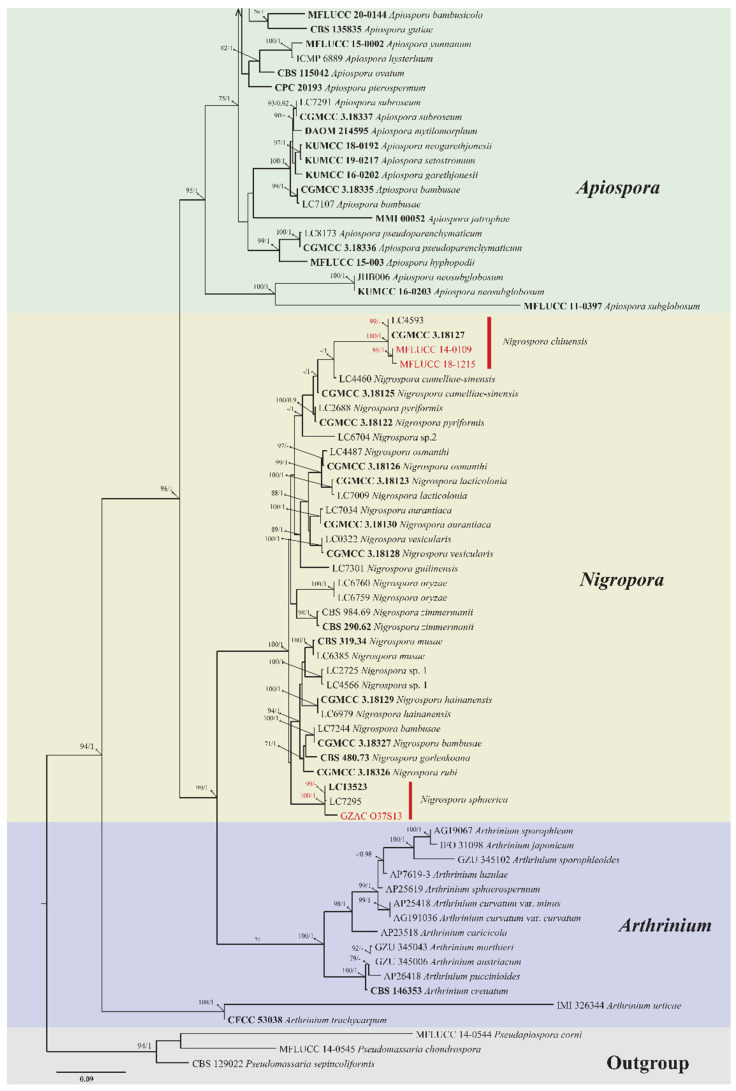 Figure 1