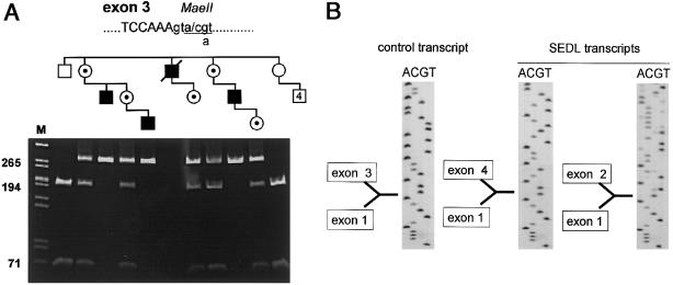 Figure  4