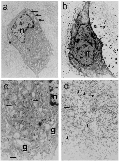 Figure  3