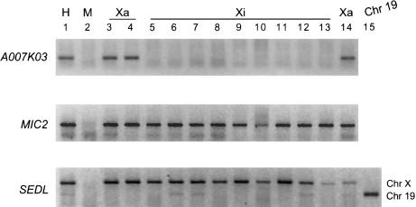 Figure  5