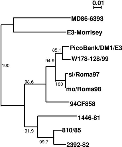 FIG. 4.