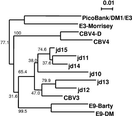 FIG. 5.