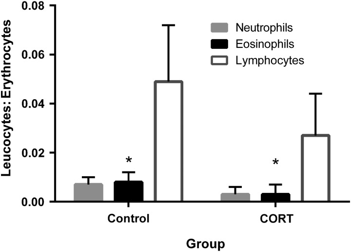 Figure 2: