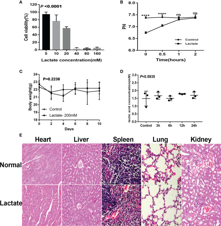 Figure 6