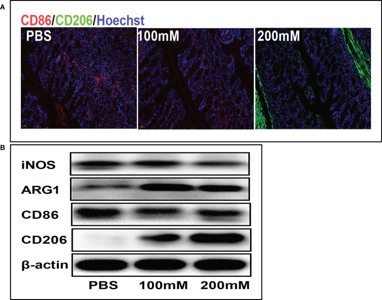 Figure 5