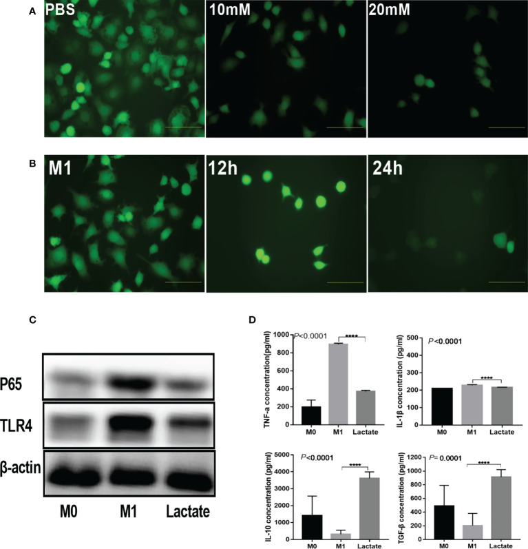 Figure 2