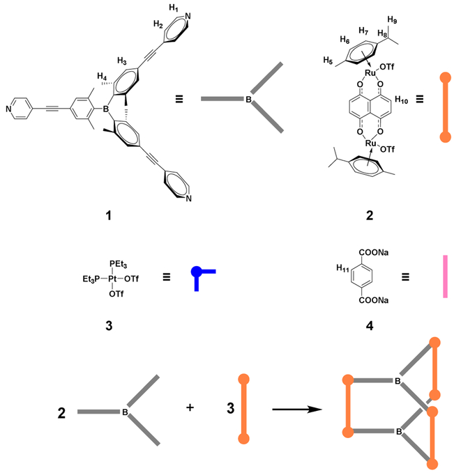 Scheme 2.