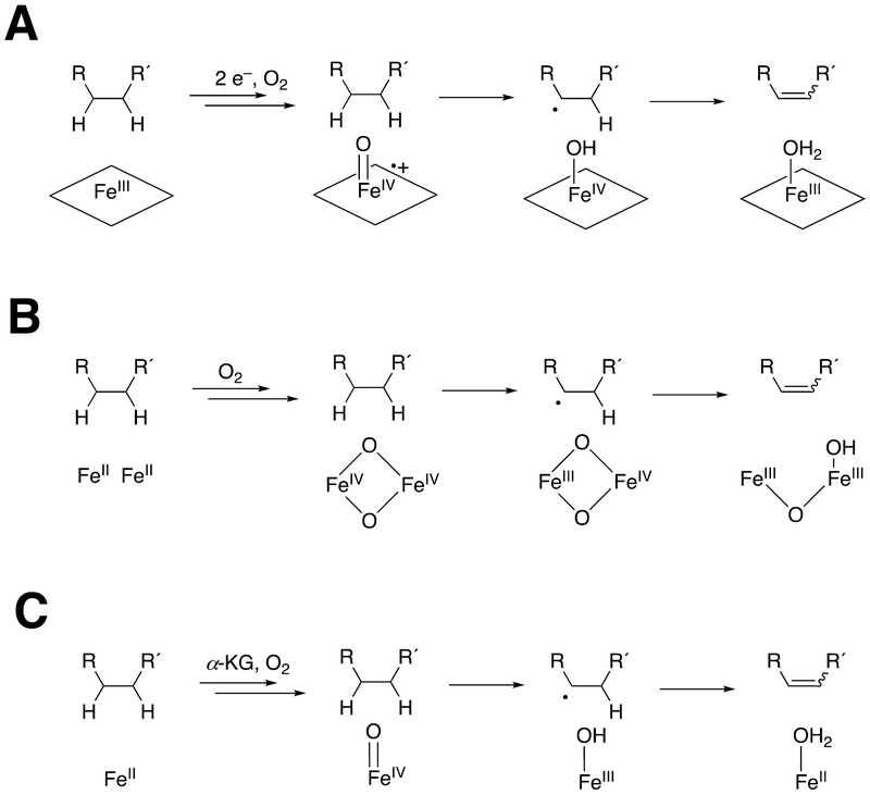 Scheme 3.