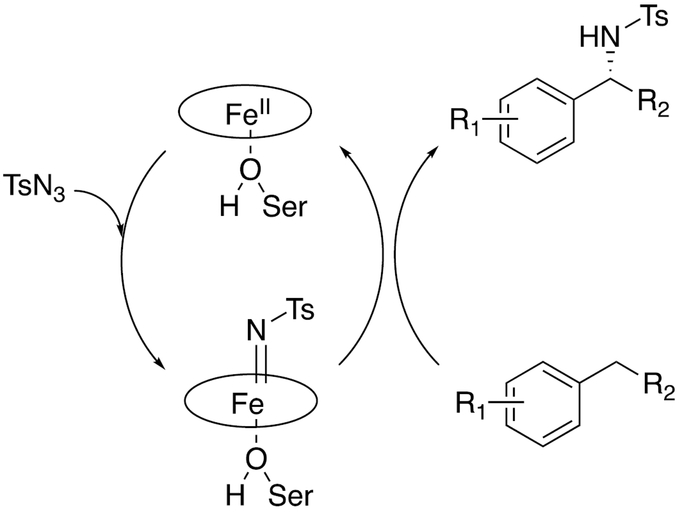 Scheme 6.