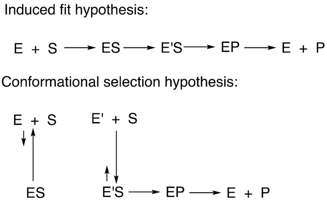 Scheme 7.