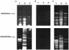 FIG. 8.