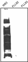 FIG. 9.