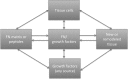 <b>Figure 4.</b>