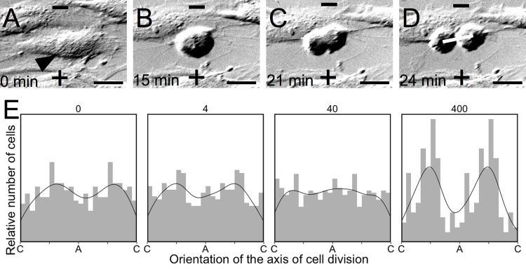 Fig 8