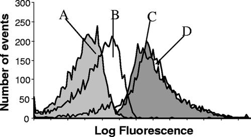 FIG. 1.