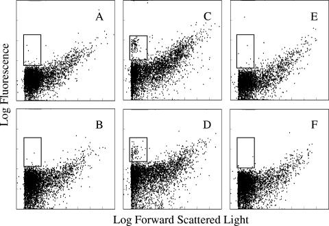 FIG. 2.