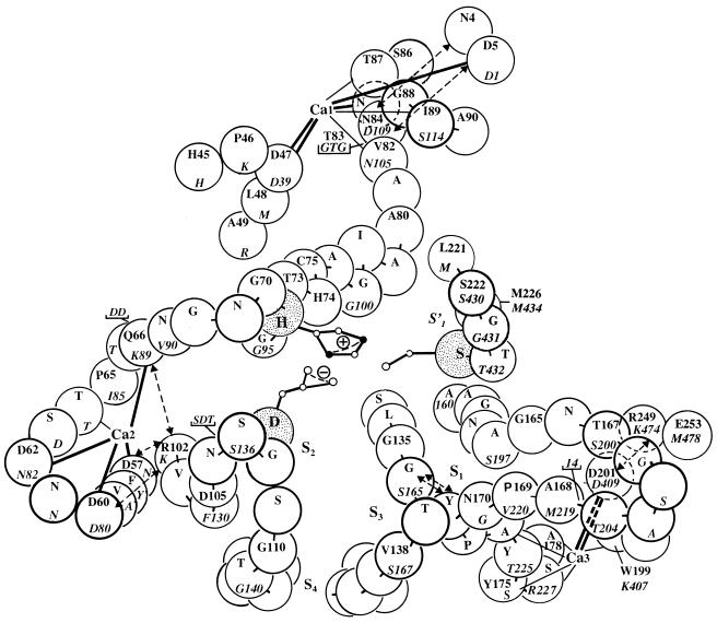 FIG. 7