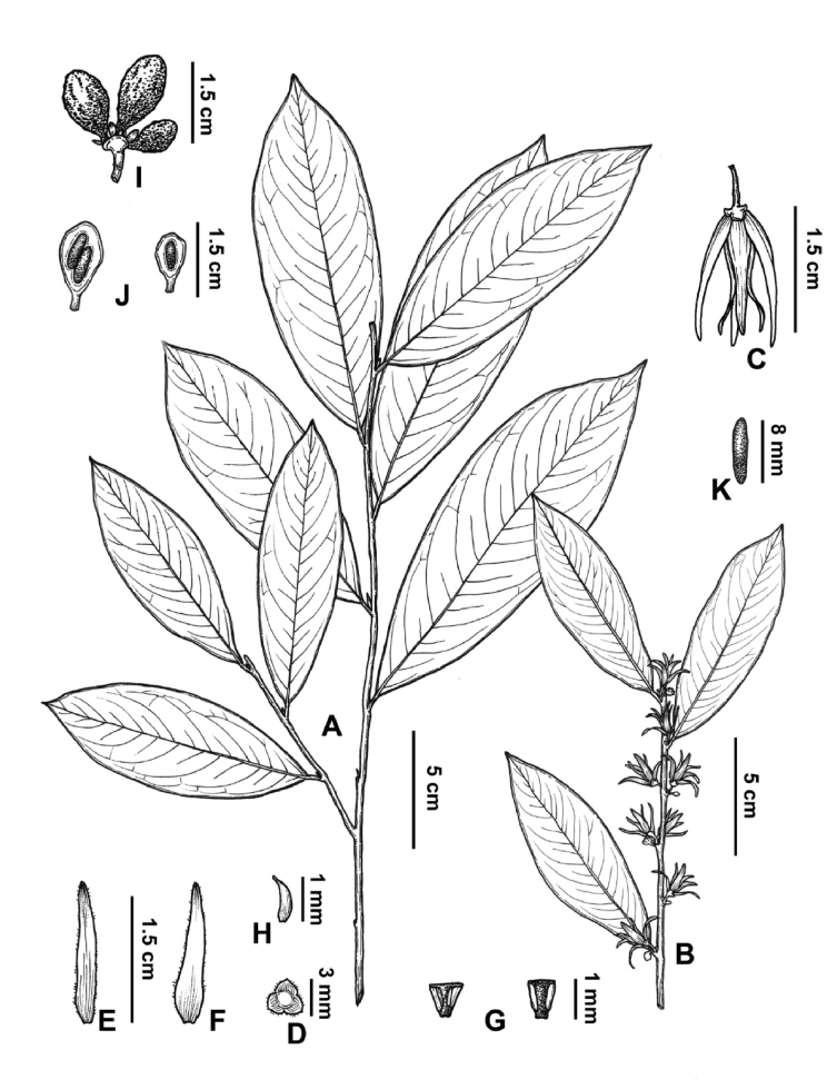 Fig. 5