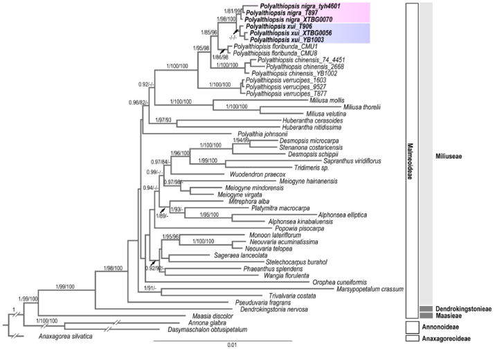 Fig. 3