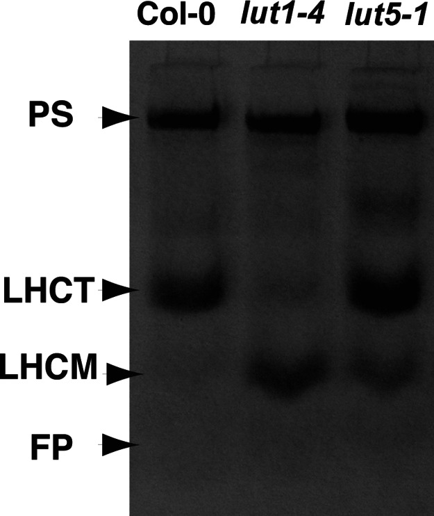 Fig. 3.