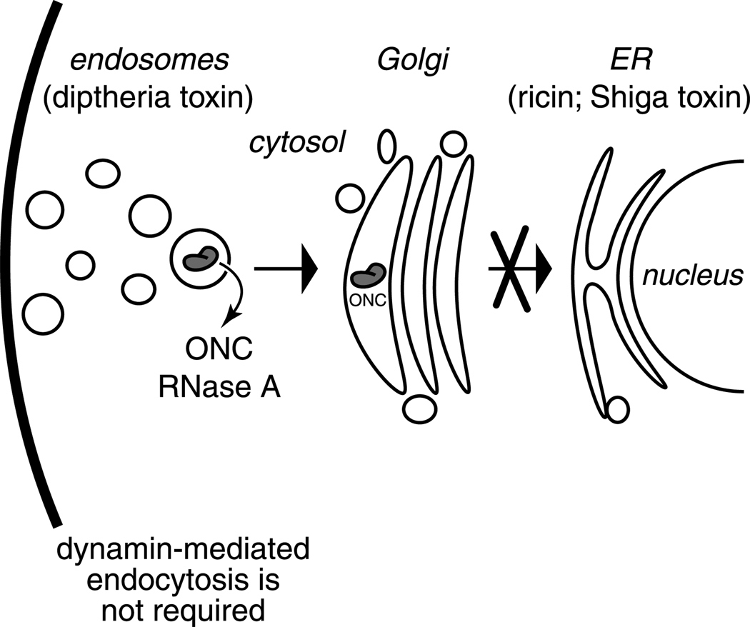 Fig. 11