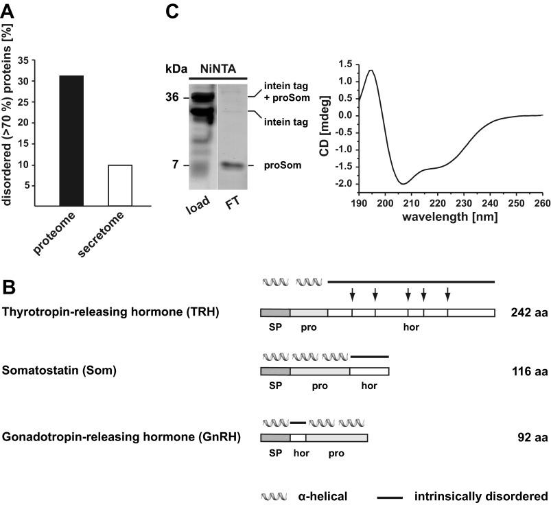 FIGURE 1.