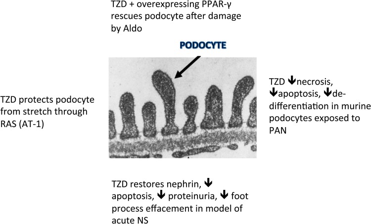 FIGURE 6