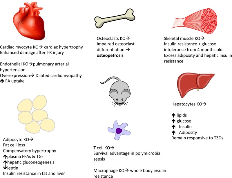 FIGURE 2