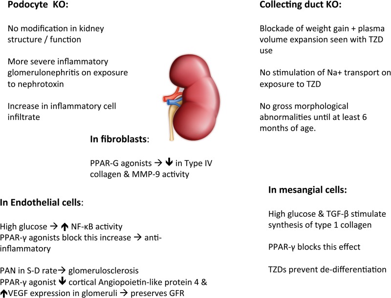 FIGURE 3