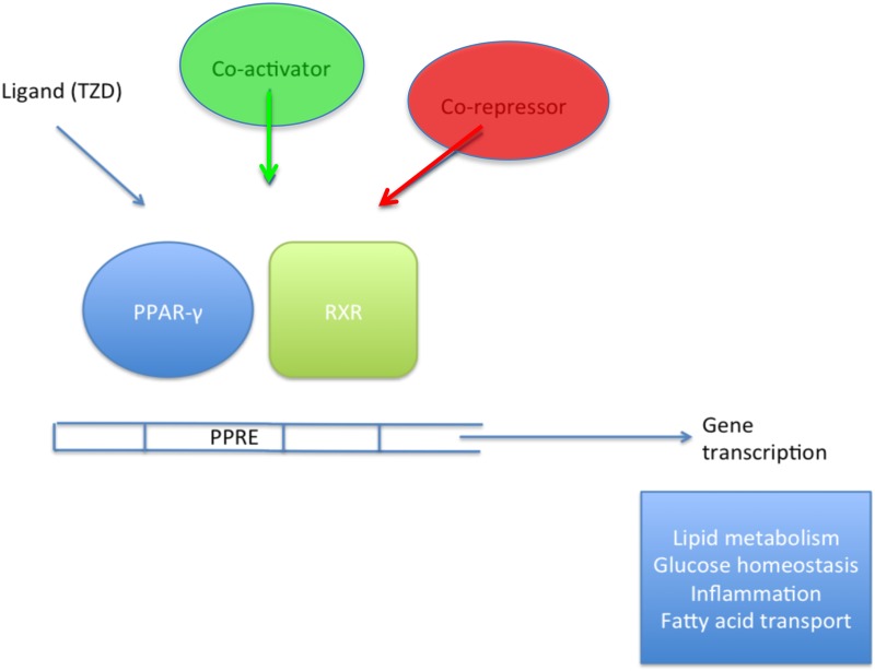 FIGURE 1