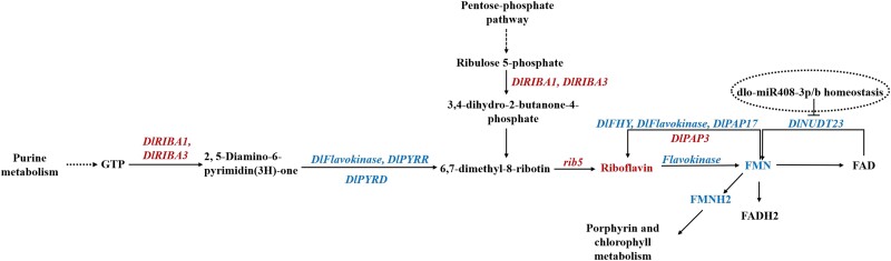 Figure 4.