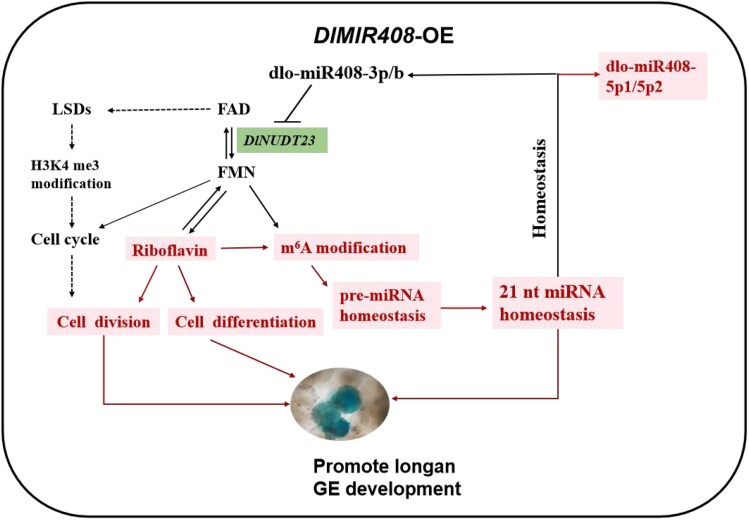 Figure 11.