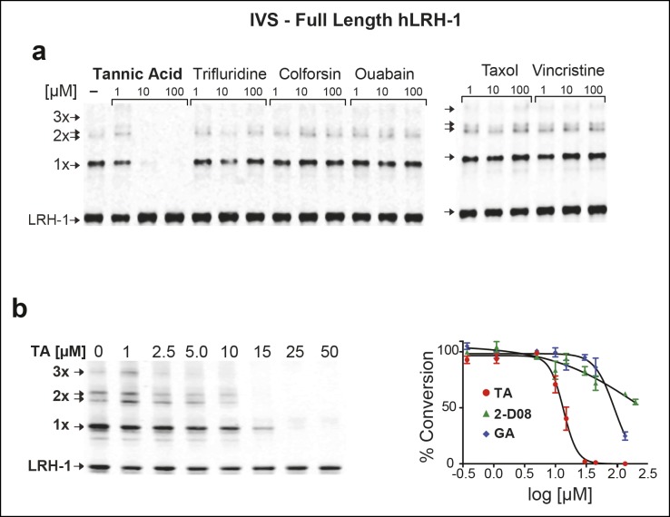 Figure 4—figure supplement 1.