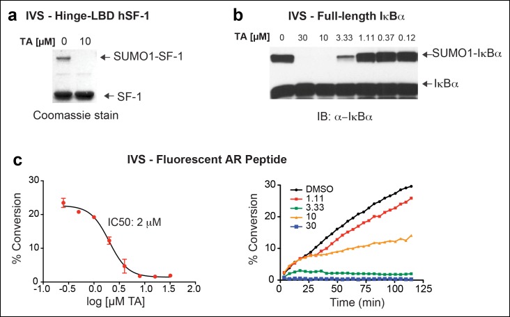 Figure 4—figure supplement 2.