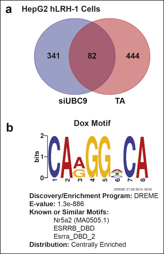 Figure 6—figure supplement 1.