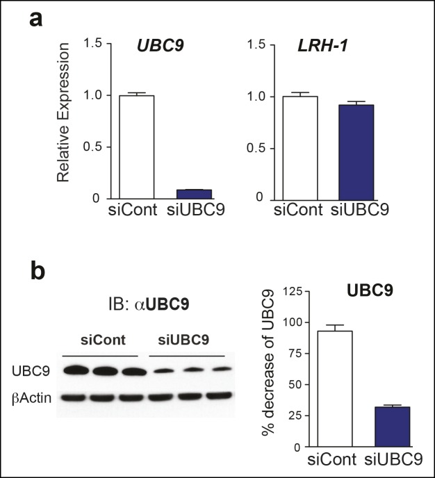 Figure 5—figure supplement 1.