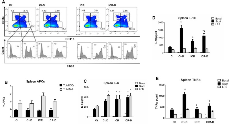 Fig 10