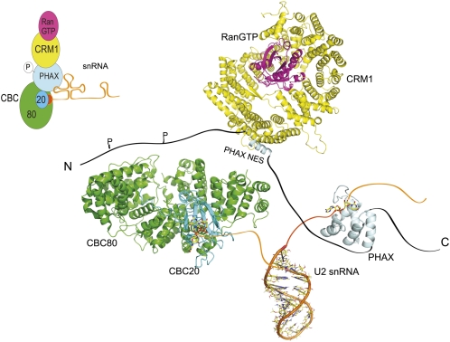 FIGURE 6.