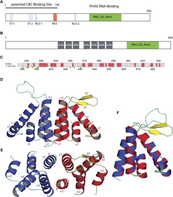 FIGURE 1.