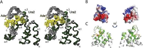 FIGURE 4.