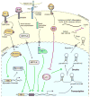 Fig 2