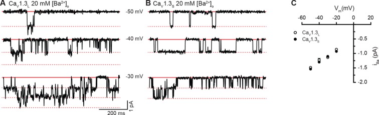 Figure 1—figure supplement 1.