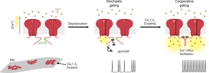 Figure 11.