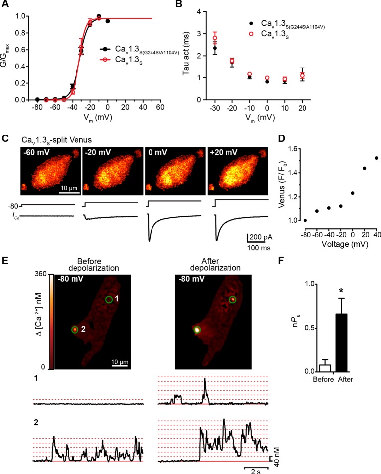 Figure 5—figure supplement 2.