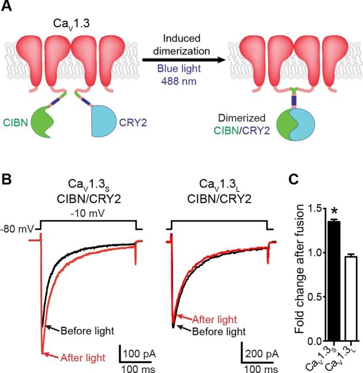 Figure 4.