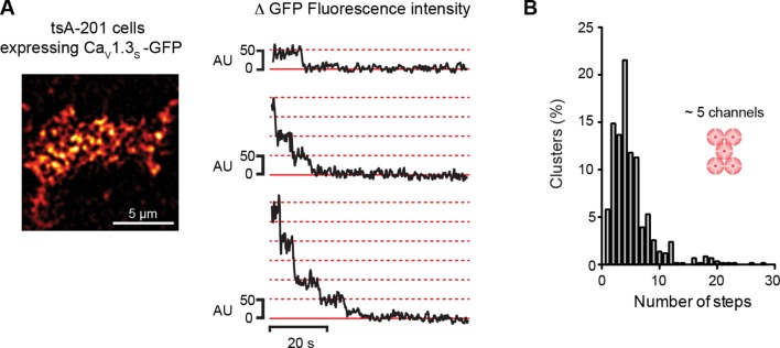 Figure 3—figure supplement 2.