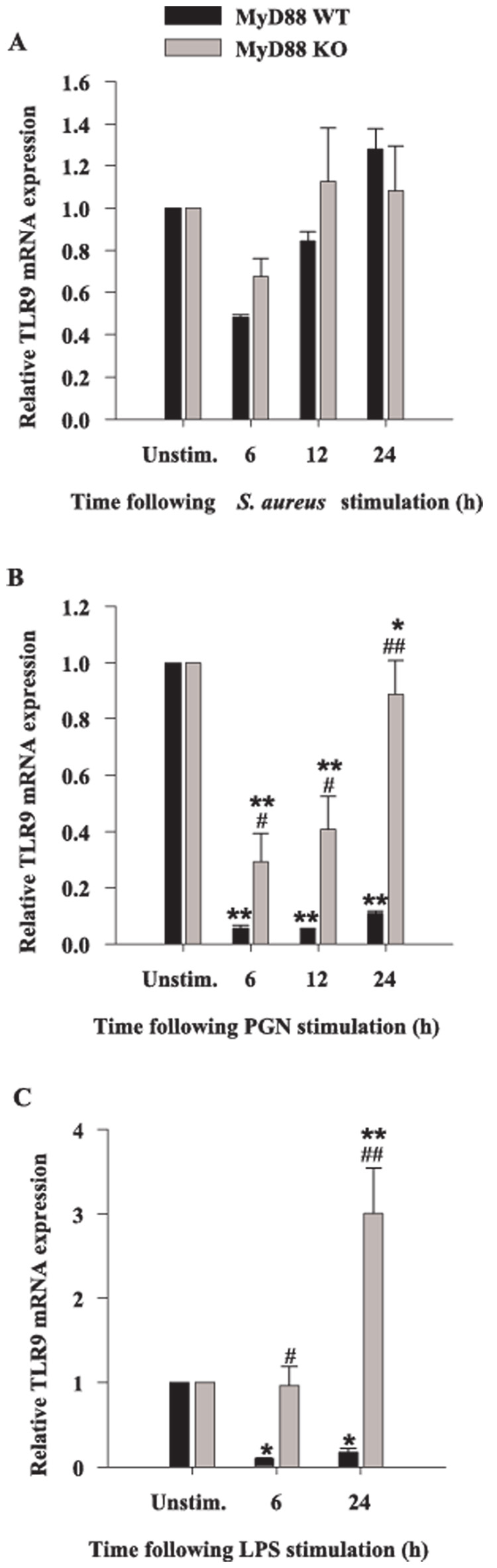 FIGURE 9