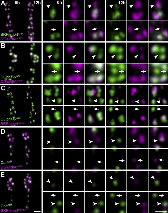 Figure 7.