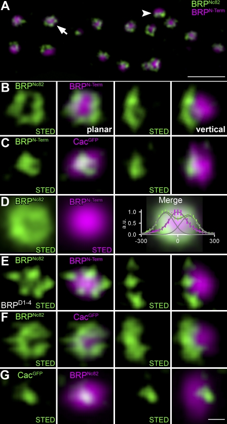 Figure 5.